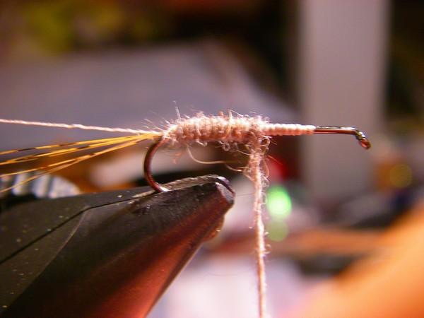 Montage de mouche