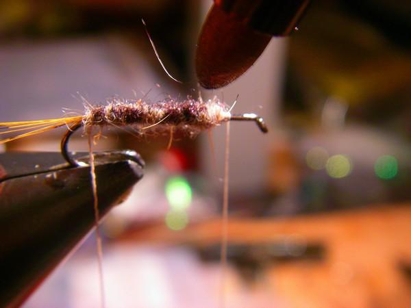 Montage de mouche