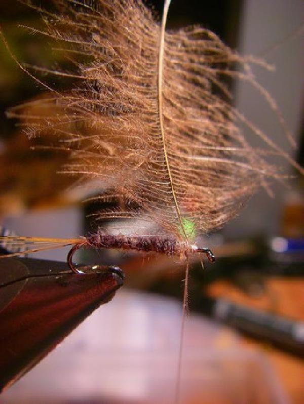 Montage de mouche
