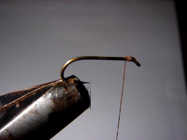 Montage de mouche
