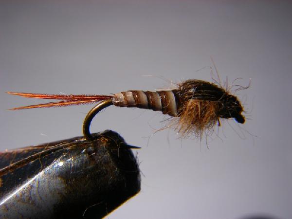 Montage de mouche