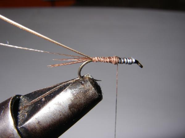 Montage de mouche