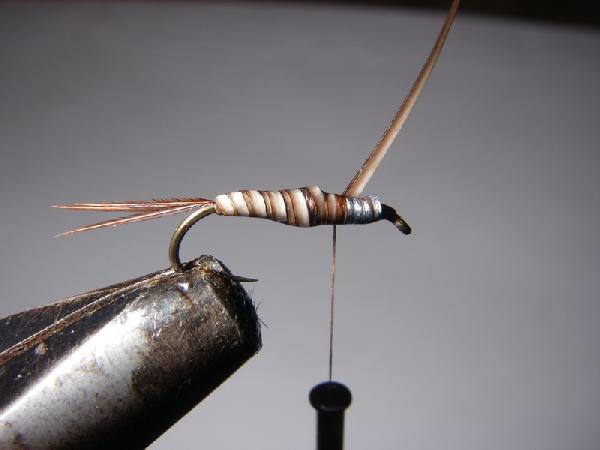 Montage de mouche