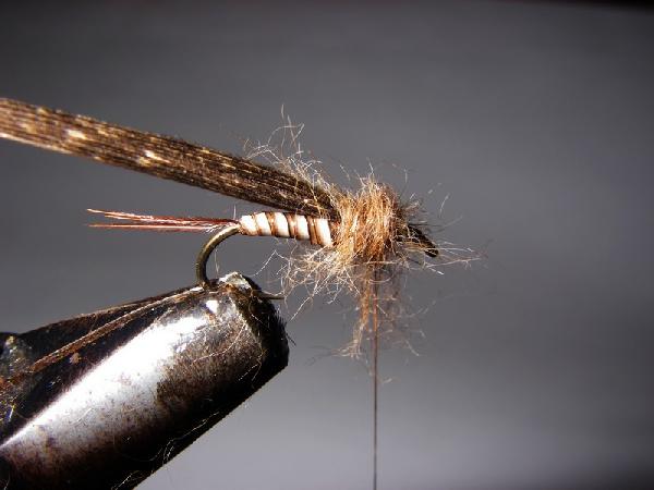 Montage de mouche