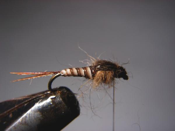 Montage de mouche