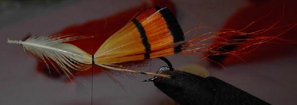 Montage de mouche
