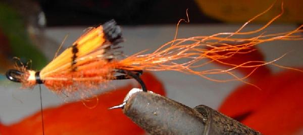 Montage de mouche