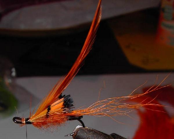Montage de mouche