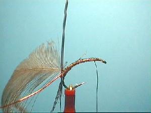 Montage de mouche