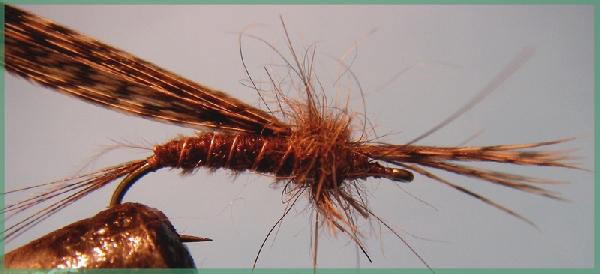 Montage de mouche