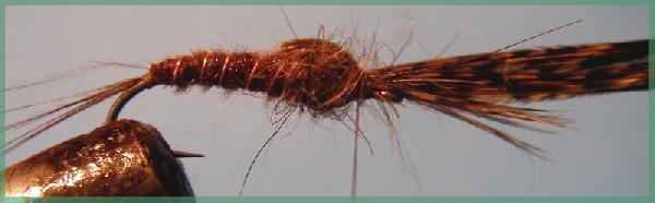 Montage de mouche