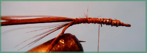 Montage de mouche