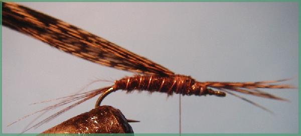 Montage de mouche