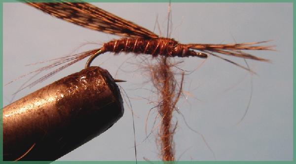 Montage de mouche