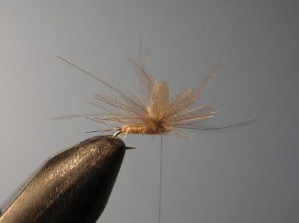 Montage de mouche