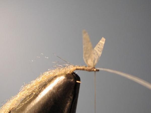 Montage de mouche
