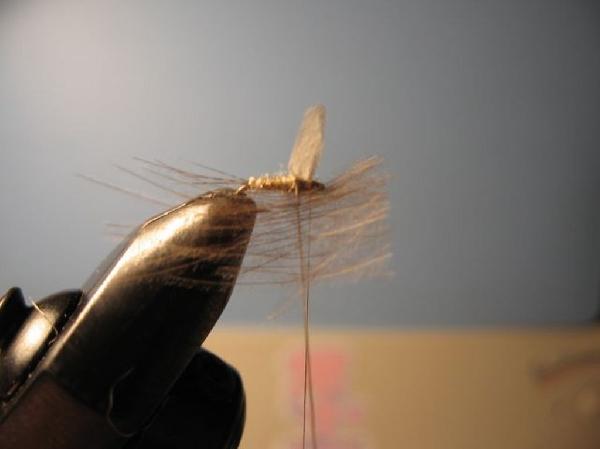 Montage de mouche
