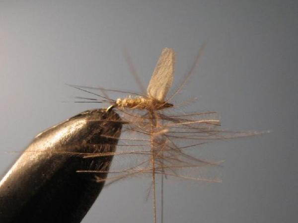 Montage de mouche