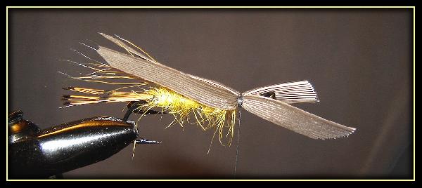 Montage de mouche
