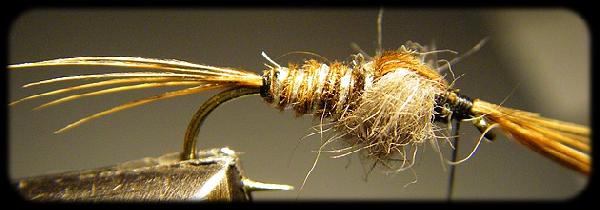 Montage de mouche