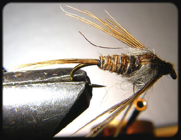 Montage de mouche