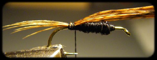 Montage de mouche