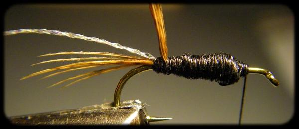Montage de mouche