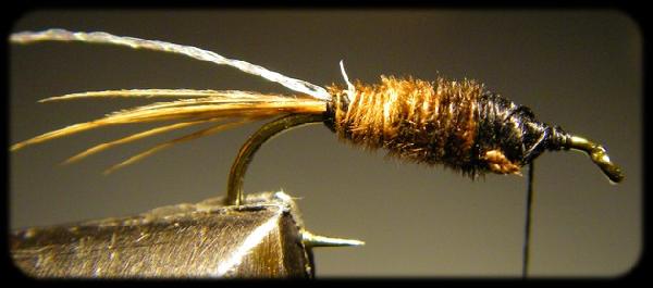 Montage de mouche
