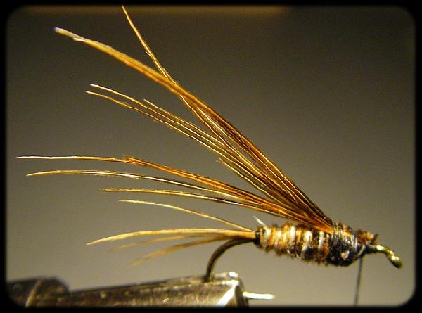 Montage de mouche