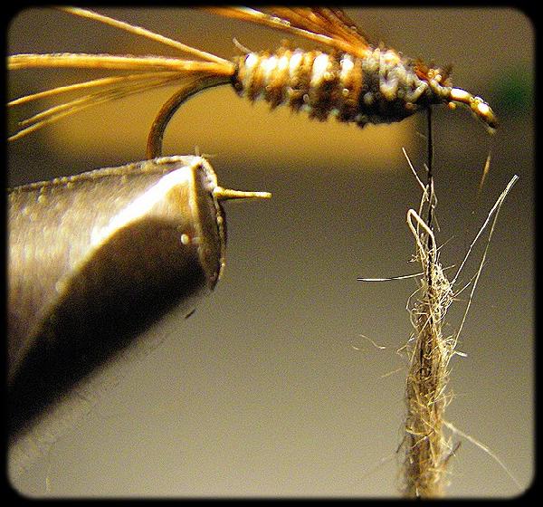 Montage de mouche