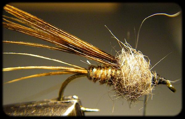 Montage de mouche
