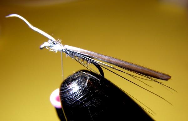 Montage de mouche