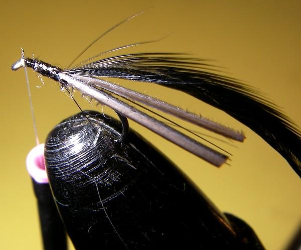 Montage de mouche
