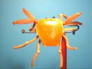 Crabe modulable Crabe modulable