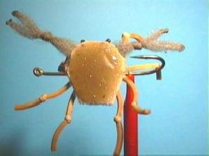 Montage de mouche