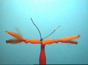 Montage de mouche