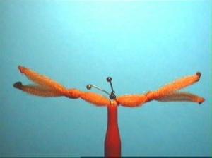 Montage de mouche