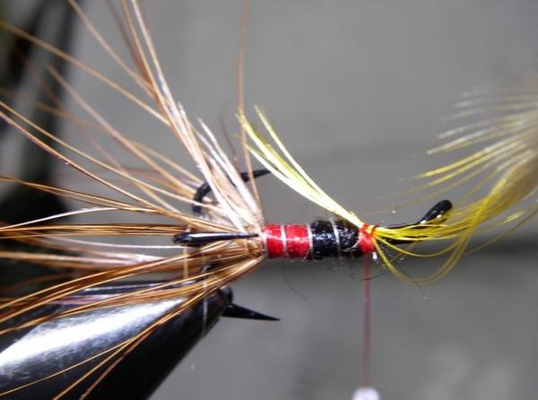 Montage de mouche