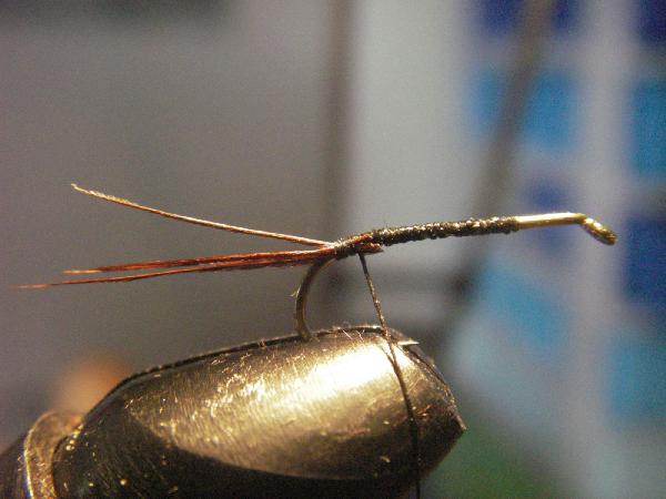 Montage de mouche