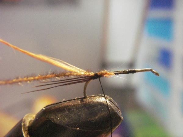 Montage de mouche