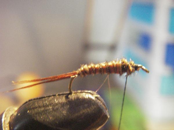 Montage de mouche