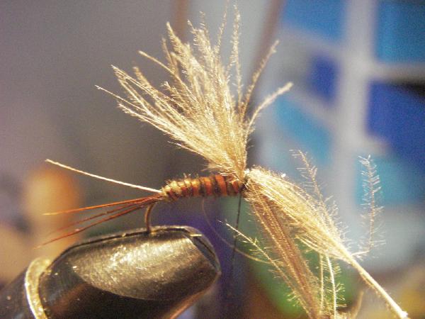 Montage de mouche