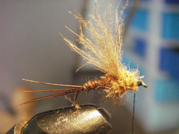 Montage de mouche