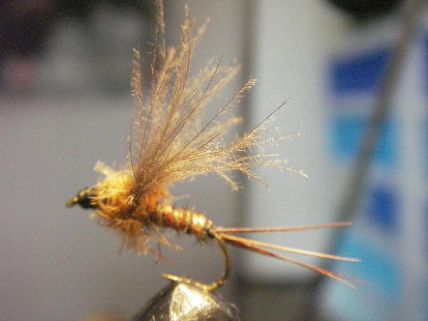 Fiche de montage : March Brown JLK