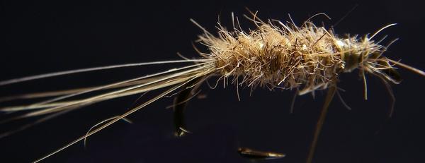 Montage de mouche
