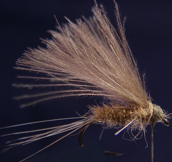 Montage de mouche