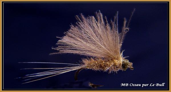 Fiche de montage : March Brown Ossau