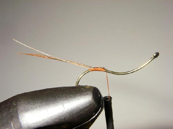 Montage de mouche