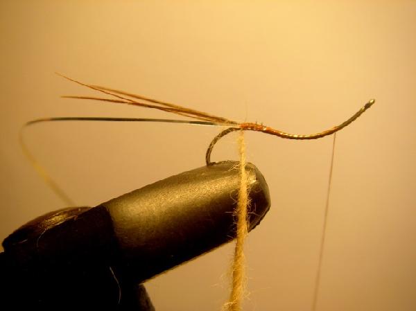 Montage de mouche