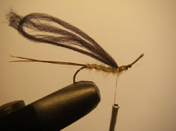 Montage de mouche